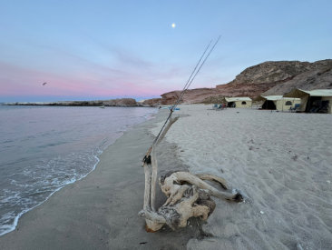 Fishing adventure in Sea of Cortez