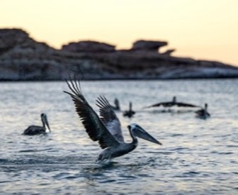 Tranquilo Travels fishing experience