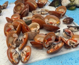 Tranquilo Travels fishing experience